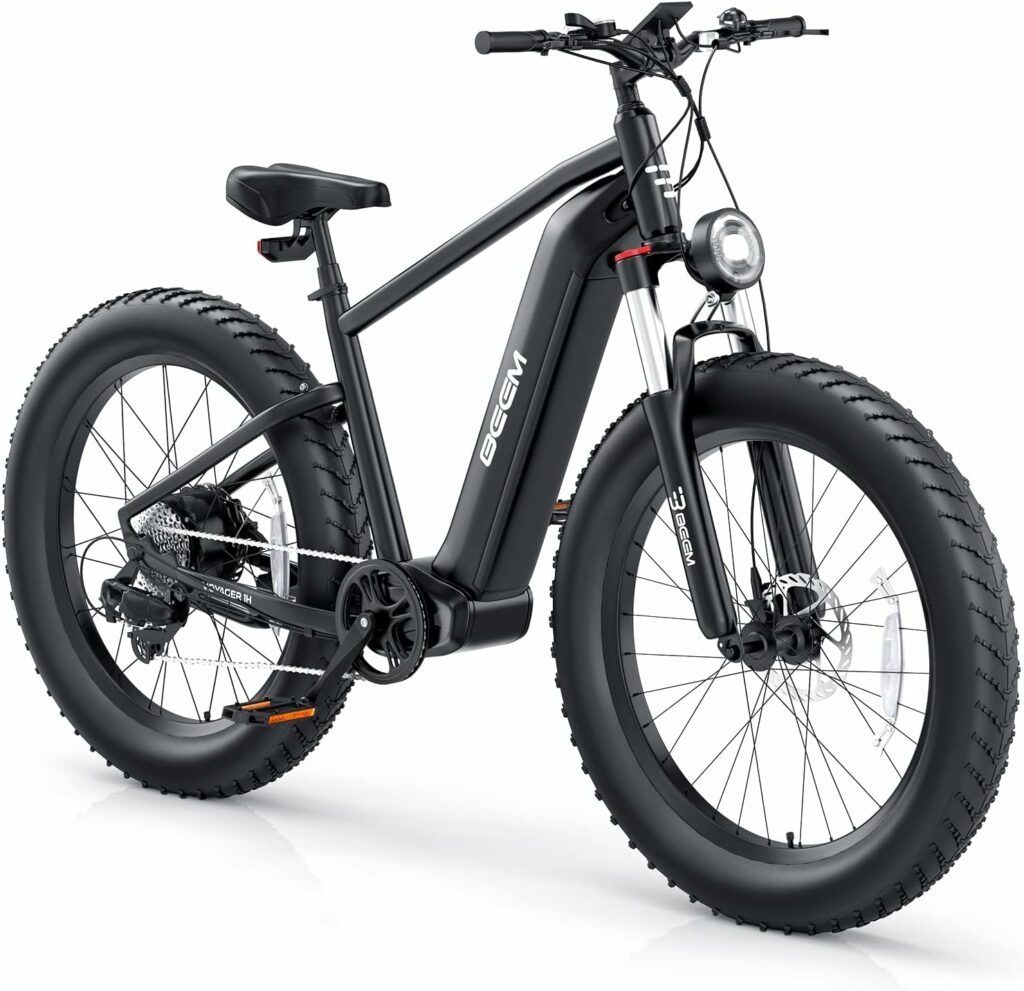 Electric Bike for Adults 1000W