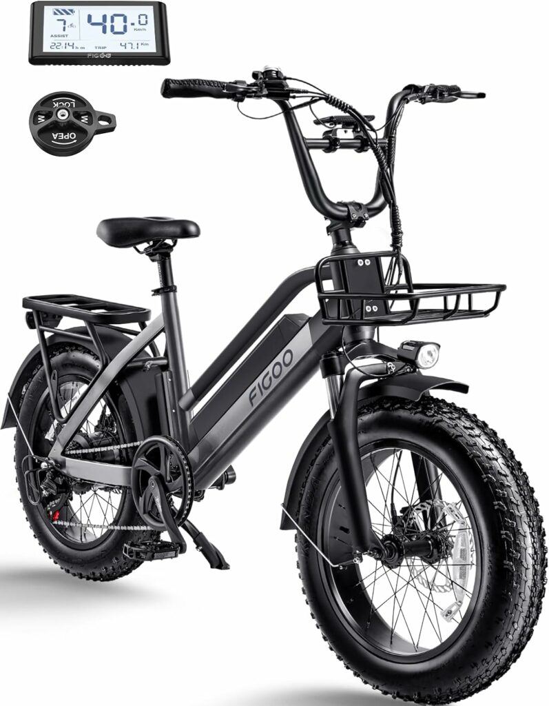 Fat Tire Electric Bike online sale