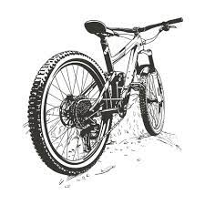 top mountain bikes